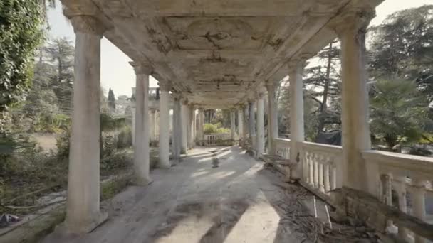 Antiguo edificio abandonado con columnas blancas. Acción. Hermosa perspectiva con columnas de edificio abandonado. Corredor abandonado con columnas en el bosque de verano — Vídeo de stock