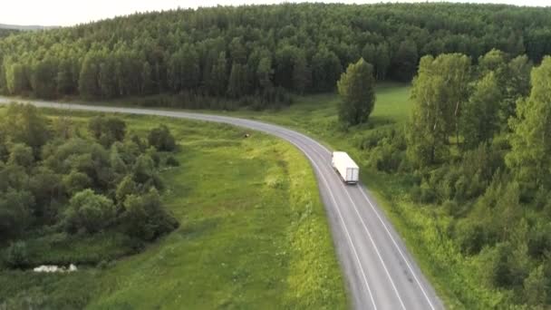 Vista a volo d'uccello.Scene.Una grande foresta verde accanto alla strada su cui un grande camion bianco sta guidando accanto a una radura verde. — Video Stock