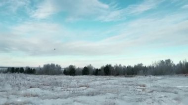 Helikopter kışın orman ve tarlada uçuyor. Şarjör. Açık havada helikopterin arka planında ormanla birlikte kış temizliği. Helikopter arka planda mavi gökyüzünde uçuyor.