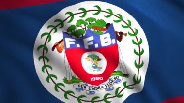 Belize bayrağı. Hareket. Ortasında büyük bir resim olan parlak bir tuval..