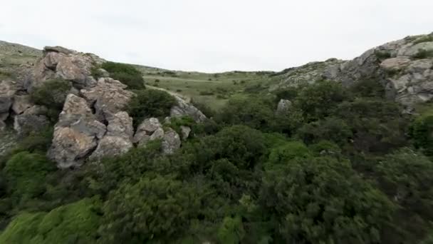 Utsikten från drönaren.Action.Enorma berg med frekvent grön vegetation på dem mot bakgrund av en ljus, något dimmig vit himmel. — Stockvideo