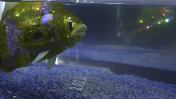 Robotfisk i akvarium. HDR. Glödande och blinkande fisk i vatten. Flytande cyber fisk i akvarium. Skapa de senaste robotdjurmodellerna — Stockfoto