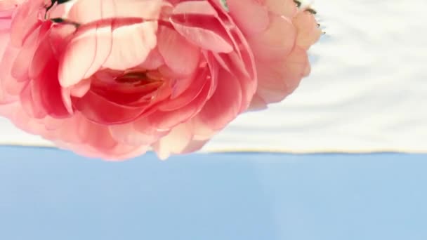 Primer plano del capullo de rosa abierto que se hunde dentro del acuario de agua transparente. Imágenes de archivo. Hermosa flor bajo el agua. — Vídeos de Stock
