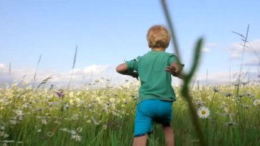 Papatya tarlasında koşan küçük bir çocuk yaratıcıdır. Parlak yaz kıyafetleri içinde sarı saçlı bir çocuk mavi gökyüzü arka planında küçük yaz çiçekleriyle tarlaların üzerinden atlıyor..