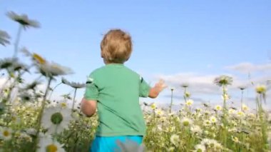 Tarlada koşan bir çocuğun arka görüntüsü. Yaratıcı. Çiçek tarlasında sinematik koşan bir çocuk. Papatya çayırı ve koşan çocuk güneşli yaz gününde