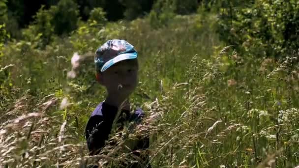 長い草の中に立って思慮深い少年の肖像画 創造的だ 輝く太陽の下で夏の牧草地でかわいい男の子 — ストック動画