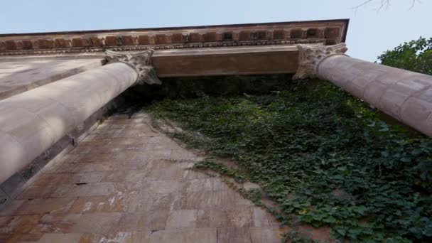 Atemberaubende Efeu-Fassade eines alten Burggebäudes. Handeln. Blick von unten auf eine steinerne Tempelmauer mit grünem Efeu und Säulen, Konzept der Architektur. — Stockvideo