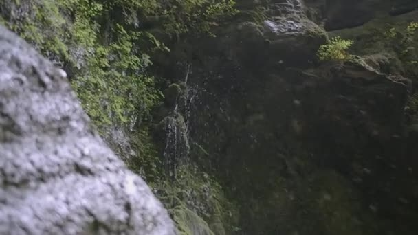 Natürlicher Wasserfall. Kreativ. Natürlicher Wasserfall in den Felsen. Pflanzen hängen am Hang neben dem Wasserfall — Stockvideo