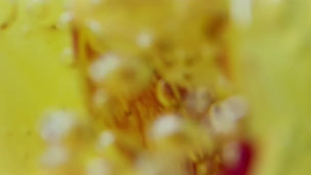 El interior de la yema. Grandes burbujas en macrofotografía que cubren un capullo amarillo en el agua . — Vídeos de Stock