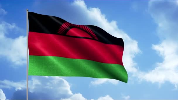 Bandeira do Malawi. Moção. Uma bandeira tricolor brilhante consistindo de uma faixa verde e preta vermelha e um sinal de sol com um veterinário vermelho. — Vídeo de Stock