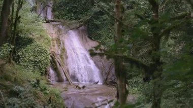 Ormandaki şelale. - Yaratıcı. Yeşil bitki örtüsünde bir şelale hızla düşüyor. Orman ve şelale. Göletin yanındaki yeşil alan.