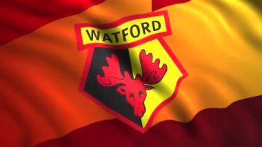 Futbol kulübü logosuyla bayrak animasyonu. Hareket. Futbol müsabakası ya da şampiyonluk için logosu olan bir bayrak. Watford Futbol Kulübü 'nün bayrağını sallayan güzel bir arka plan.