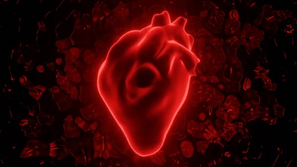 Modelo digital do coração batendo realista humano, diagnóstico do sistema circulatório humano. Desenho. Silhueta de néon de um coração. — Vídeo de Stock