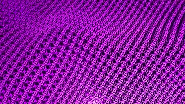 Bright purple background. Design. Small round shapes inside with the letter B in the abstraction fluctuate in different directions. — Stock Video