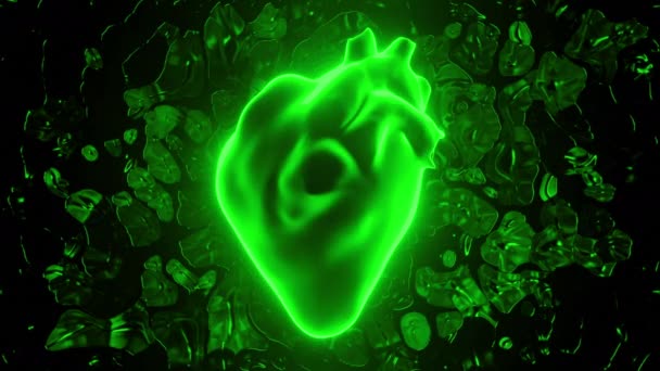Digital modell av människans realistiska bultande hjärta, diagnostik av människans cirkulationssystem. Design. Neon silhuett av ett hjärta. — Stockvideo