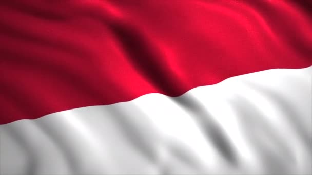 インドネシアの大きな2色の旗.Motion. 白と赤で構成された2トーンフラグ. — ストック動画