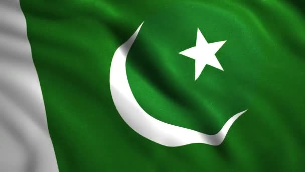 Pakistani flag cloth swaying in the wind, seamless loop. Motion. Crescent and a star on a green background. — Stock Video