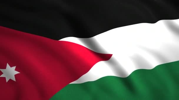 无缝地环绕着在风中飘扬的巴勒斯坦国旗。行动。爱国主义概念，无缝循环. — 图库视频影像
