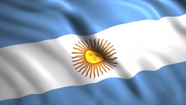 The flag of Argentina in close-up. Motion. The two-tone flag of the country with a white and blue stripe and a bright sun in the middle. — Stock Video