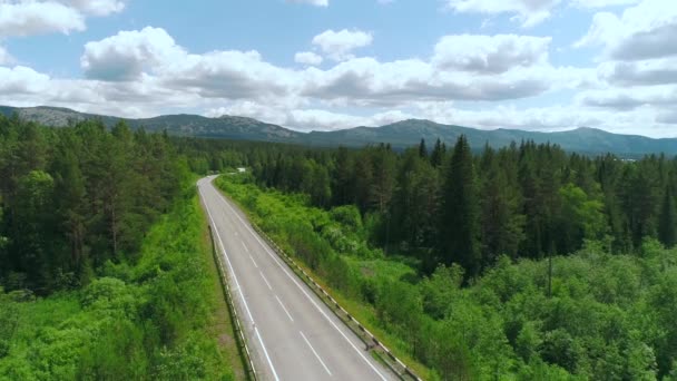 Vista da un elicottero. Scena. Una grande foresta vicino alla strada lungo la quale i veicoli si muovono accanto a verdi piante estive e cespugli contro un cielo azzurro. — Video Stock