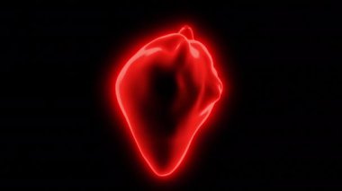 Karanlık arka plan. Tasarım. Animasyondan yapılmış parlak kırmızı bir kalp çarpar, çarpar ve sağa döner..