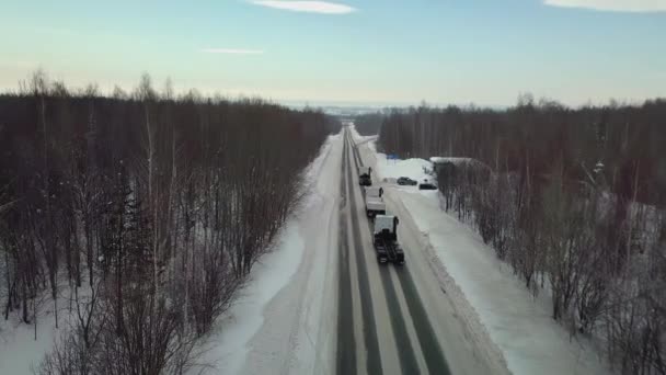 Вид зверху на зимову дорогу, на яку їздять автомобілі та вантажівки. СКЕН. Небо і земля блакитні від снігу. Колія для автомобілів проходить через снігоходи. Вид з квадрокоптера зверху на колію — стокове відео
