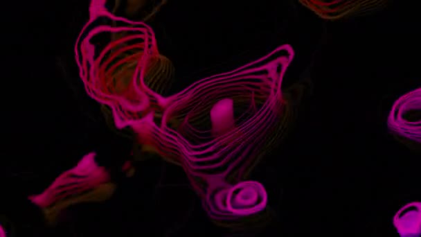 Black background.Design. Bright pink blots in 3d format that narrow and run over a dark background. — Stock Video