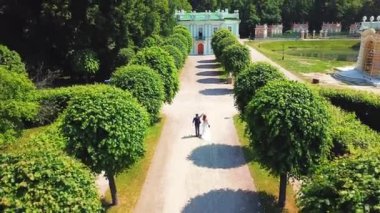 İnsansız hava aracının manzarası. Yaratıcı. Küçük, güzel ağaçlarla süslenmiş güzel bir yaz parkı ve üzerinde güzel binalar ve müzeler olan bir yaz yolu.