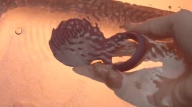 Küçük bir vücut masaj aleti. Yaratıcı. Küçük kırmızı bir masaj aleti suya yerleştirilir ve açılır ve su kaynamaya başlar..