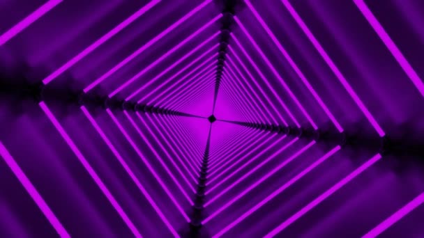 紫色の廊下.デザイン. 周りを回転し前進する抽象化の明るい紫色の封じられたスペース. — ストック動画
