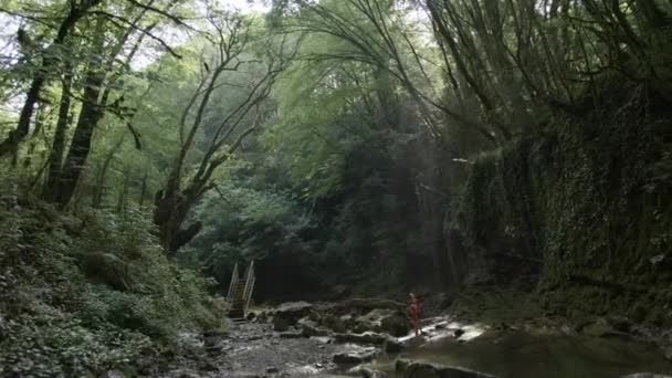 Креативні люди, які пішли в зелений тропік і йдуть поруч з чистою річкою і тонкими деревами, можна побачити нахил. — стокове відео