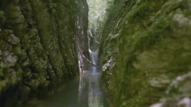 Güneş vadideki küçük bir dağ nehrine çarpar ve kayada yansımalar yaratır. - Yaratıcı. Bir dağ nehri küçük bir şelaleyle vadiden yavaşça akar.