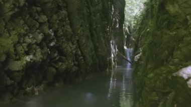 Tepesinde ağaçlar büyüyen küçük bir vadi ve aşağıdan akan çamurlu, dağlık, küçük bir nehir. - Yaratıcı. Bir dağ nehri küçük bir şelaleyle vadiden yavaşça akar.