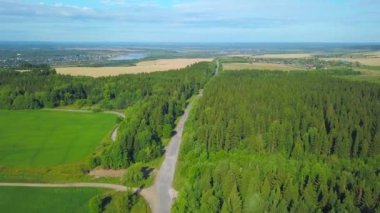 Helikopterden görüntü. Şarjör. Büyük bir ormanı olan parlak yeşil bir yaz ormanı ve yakınlarda arabaları olan bir yol ve uzakta yolu ve nehri görebilirsiniz..