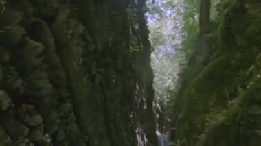 Tepesinde ağaçlar büyüyen küçük bir vadi ve altından akan bir nehir. - Yaratıcı. Küçük bir şelalesi olan bir dağ nehri vadiden akar.