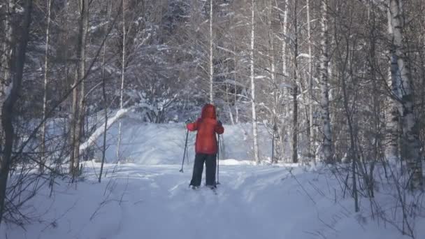 Egy fiú síel a téli erdőben.Kreatív. Egy kisgyerek, aki nappal sétál az erdőben a téli hóerdőben.. — Stock videók