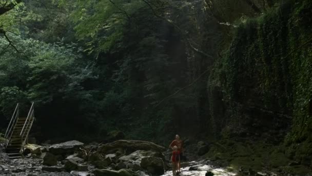 가족 여행.창조적 .녹색 열대에 가서 명확한 강과 얇은 나무 옆에 걷고있는 사람들은 기울어 볼 수 있습니다. — 비디오
