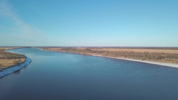 Luftaufnahme eines breiten plätschernden Flusses mit endlosem Kiefernwald und Feldern. Clip. Fliegen über der sommerlichen Natur mit Büschen und langem Fluss auf blauem bewölkten Himmel Hintergrund. — Stockvideo