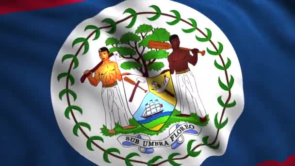 Bandeira de Belize. Motion. O símbolo nacional do país . — Vídeo de Stock