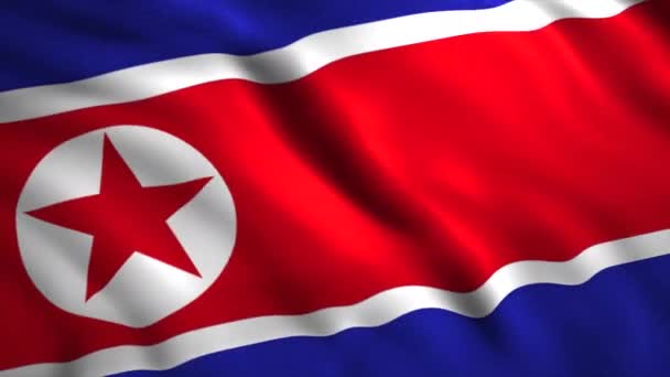 DPRK运动的旗帜。大韩民国的国旗摇曳不定，. — 图库视频影像