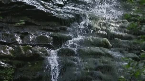 Beautifully falling water from rocks in forest. Creative. Beautiful little waterfall in mountain rocks. Slowly falling water of small waterfall on rocky wall — Stock Video