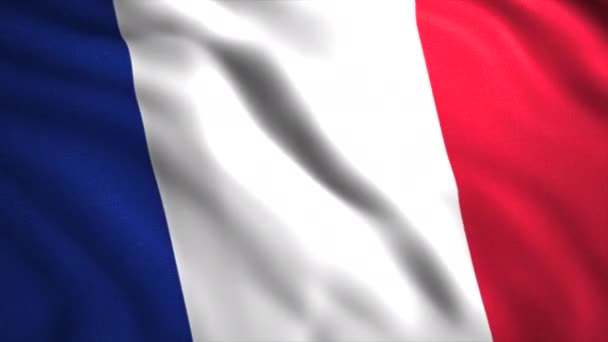 국가의 국기와 아름 다운 배경입니다. 움직임. 국가의 깃발의 애국적인 3d 애니메이션. 프랑스의 아름다운 파도 움직이는 깃발 — 비디오