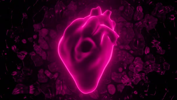 Animación con latidos 3d corazón. Diseño. Hermosa animación 3d con brillante corazón de color. Corazón de neón 3d late y golpea sobre fondo negro — Vídeos de Stock