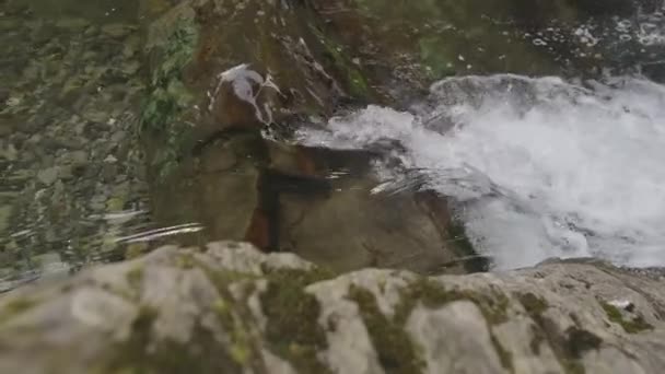 Невеликий водоспад у річці. Бульбашкова прозора вода, що біжить по скелях. — стокове відео