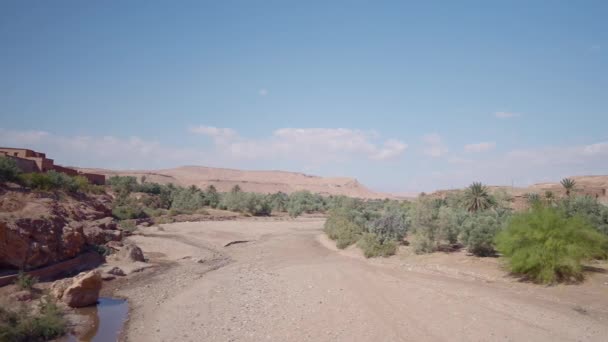 Estrada do deserto empoeirada com arbustos e plantas de baixo crescimento em um fundo azul. Acção. Bela natureza verão. — Vídeo de Stock