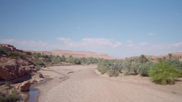 Carretera desértica polvorienta con arbustos y plantas de bajo crecimiento sobre un fondo azul. Acción. Hermosa naturaleza de verano. — Vídeos de Stock