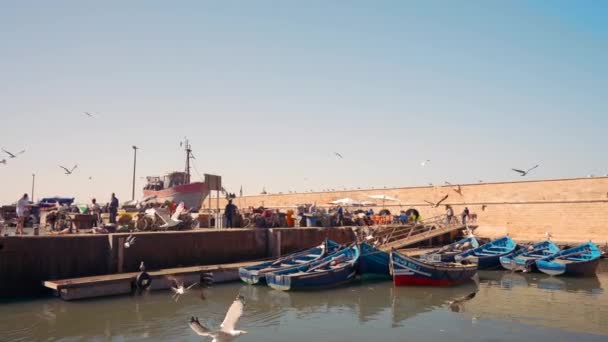 Porto con piccole barche a vela e stormo di uccelli. Azione. Gabbiani che volano sopra il molo su sfondo cielo blu chiaro. — Video Stock