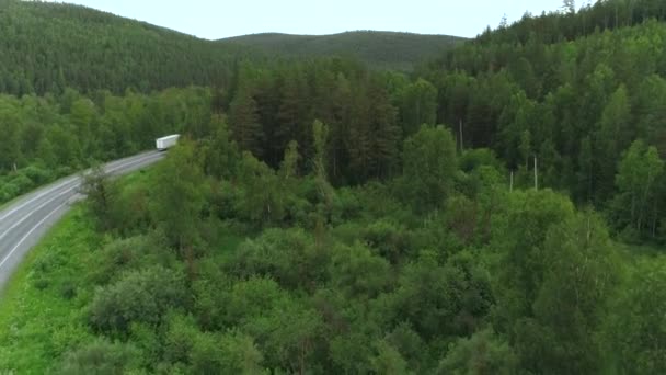 Luchtfoto van de weg door het bos. Plaats delict. Vogelperspectief op prachtig landschap met groen weelderig bos op een zomerse dag, heuvelachtig bebost gebied. — Stockvideo