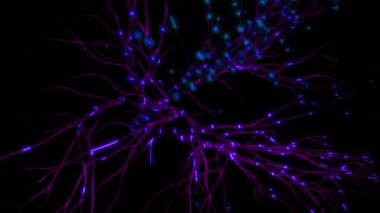 Elektriksel impulsları olan 3 boyutlu sinirsel ağ. Tasarım. Siyah arkaplanda hızlı parlayan titreşimlere sahip sinirsel dallar. Beyindeki sinirsel dürtülerin basit bir gösterimi