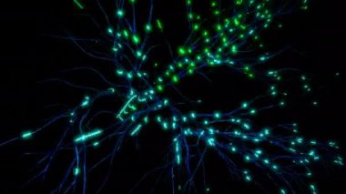 Siyah arkaplan. Görev. Parlak mavi çizgilerin ve küçük yeşil dairelerin görüntülerin etrafında koşuşturduğu ve parladığı animasyon.